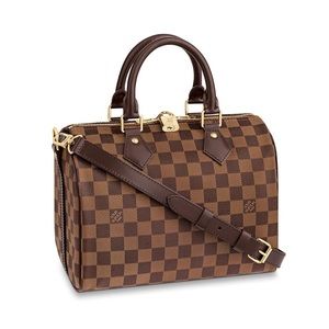 Louis Vuitton Damier Ebene Speedy 25 Bandouliere